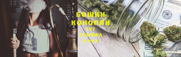 шишки Алексин