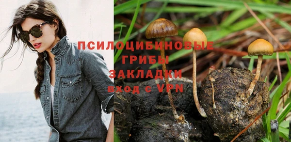 гашик Абинск